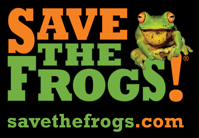 Save The Frogs Logo